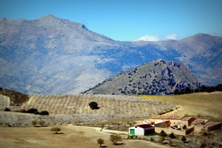 Vista de Sierra Mágina desde el Buitre